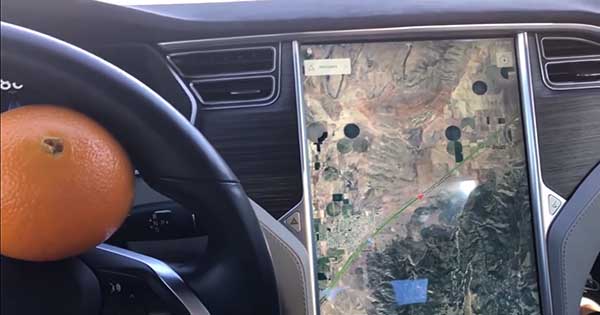Driver Tricks The Tesla Autopilot Safety System With An Orange 2