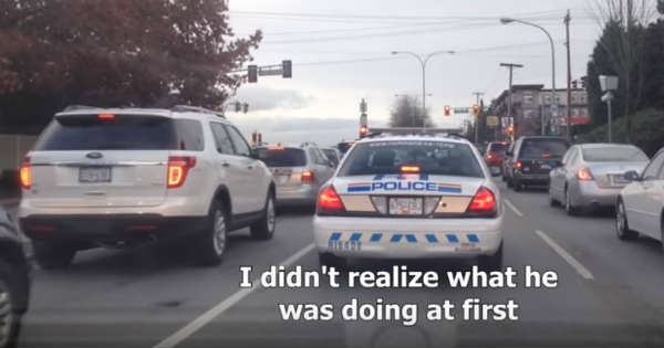 This Is How Police Officers Check If You Are Wearing Seat Belts 2