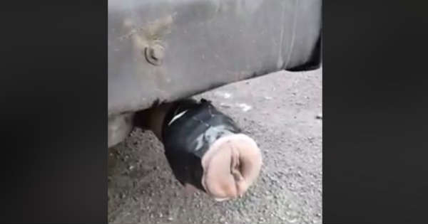 Funny Exhaust Pipe fleshlight 1