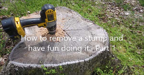 Remove Tree Stumps Fun 1