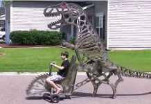 Woodworker Makes Amazing Moving Dinosaur 1