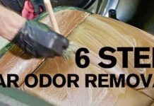 Car Odor Removal Technique Takes Just 6 Steps 11