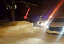 This Guy Fooled The Police With A Fake Snow Car 1