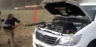 This Guy Found The Problem In This Car Massive Snake Under The Hood 11