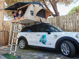 Epic Car Camping Guide How to Nail Your SUV Camping Setup 2